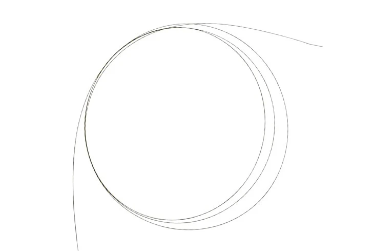 Disposable Guide Wire Zebra